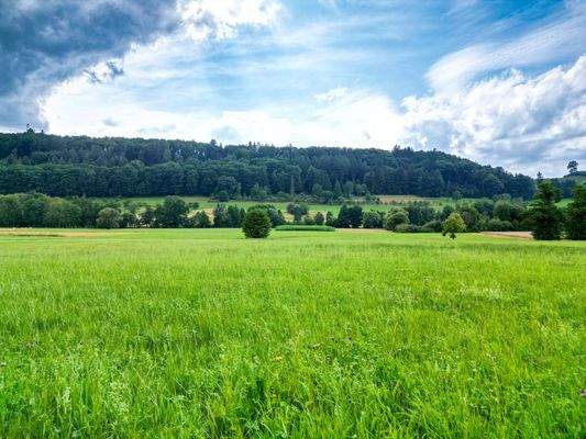 Zugehörige Wiesengrundstücke