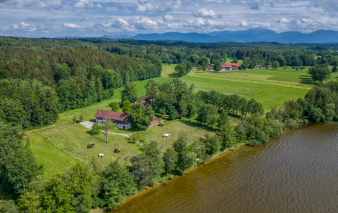 Münsing Bauernhöfe, Landwirtschaft, Münsing Forstwirtschaft