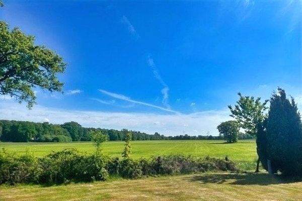 Blick über die benachbarten Wiesen und Weiden