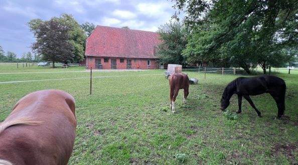 Ideal zur Pferdehaltung