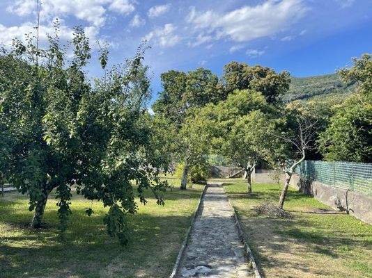 Garten: Blick Richtung Norden