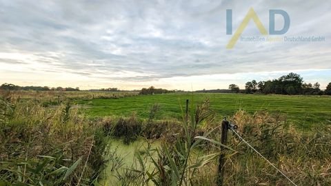 Stadland / Norderschwei Bauernhöfe, Landwirtschaft, Stadland / Norderschwei Forstwirtschaft