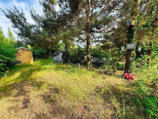 Grundstück - Eingangsbereich