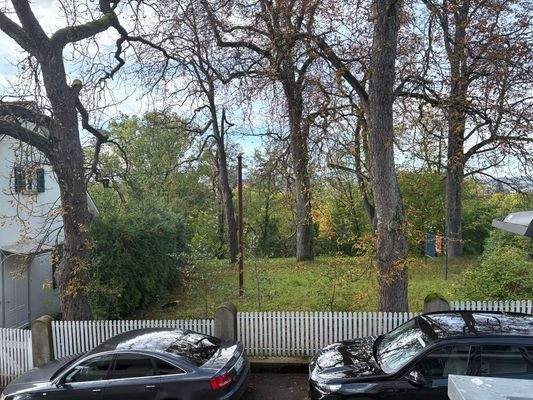 Unbebautes Grundstück