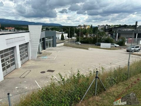 Neunkirchen Halle, Neunkirchen Hallenfläche