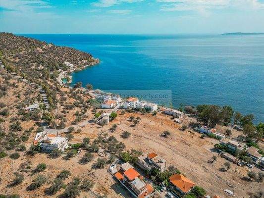 7701e77288484fc897b69aa8cbe29e70-original