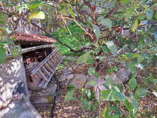 WhatsApp Image 2025-01-30 at 15.11.11_b791dff7.jpg