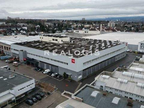 Mainz Halle, Mainz Hallenfläche