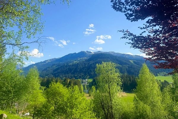 Bergblick.jpeg