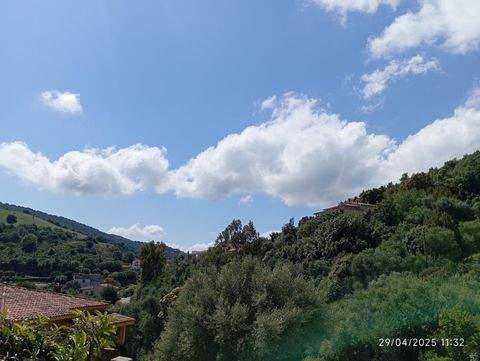 Brunella Grundstücke, Brunella Grundstück kaufen