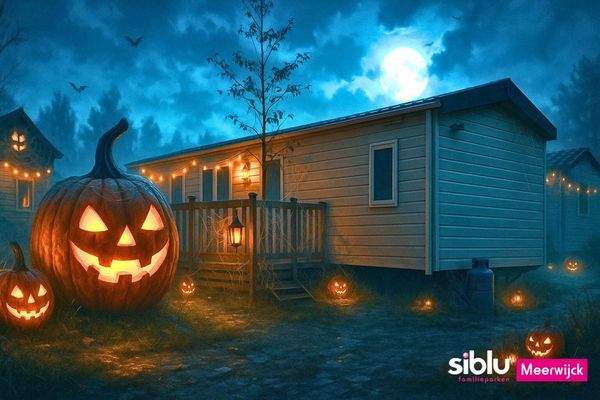 Ferienhaus Kaufen Friesland11