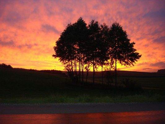 Abendstimmung vom Wohnzimmer 