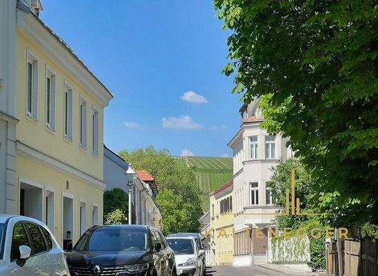 Lage direkt bei den Nußdorfer Weinbergern