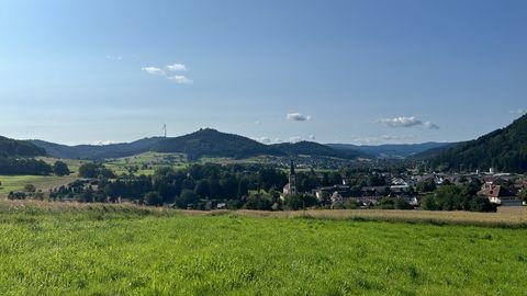 Lahr/Schwarzwald Häuser, Lahr/Schwarzwald Haus kaufen