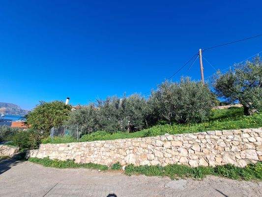 WhatsApp Image 2025-01-30 at 15.11.08_a1ad9001.jpg