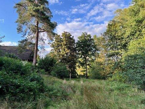 Asendorf Grundstücke, Asendorf Grundstück kaufen