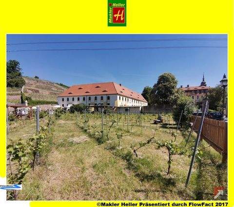 Diesbar- Seußlitz Häuser, Diesbar- Seußlitz Haus kaufen