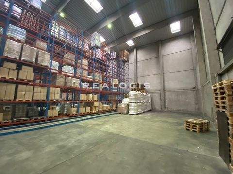 Hamburg Halle, Hamburg Hallenfläche