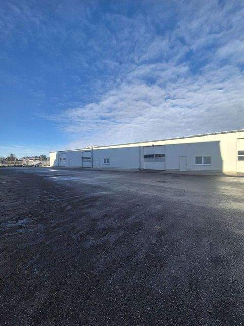 Neuötting Halle, Neuötting Hallenfläche