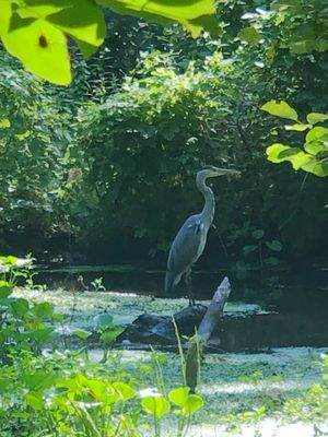 WhatsApp Image 2024-07-24 at 13.01.59 (1)