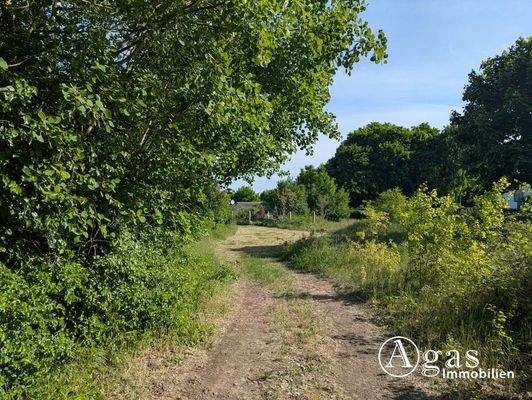 hinterer Teil vom Grundstück