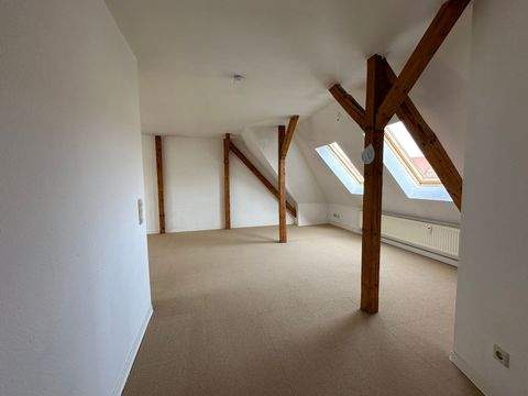 Halle (Saale) Wohnungen, Halle (Saale) Wohnung mieten