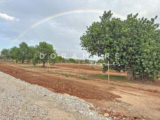 sa-comuna_00011_2ebbfbd