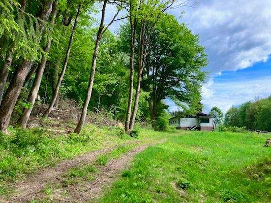 Wohnhaus Westseite 3.jpeg