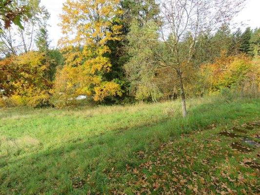 Grundstück Richtung Südwesten 