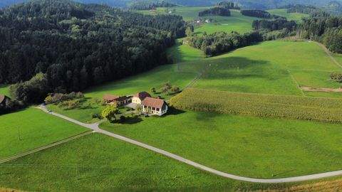 Thürn Bauernhöfe, Landwirtschaft, Thürn Forstwirtschaft