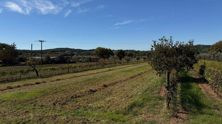 B53280CC-213F-4C53-A354-BDEF238EAB57_1_102_a