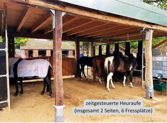 (zeitgesteuerte) Heufütterung