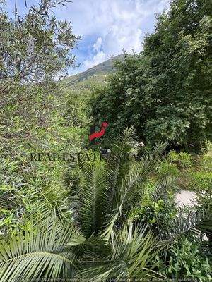 WhatsApp Image 2025-05-11 at 10.24.30-23.jpeg