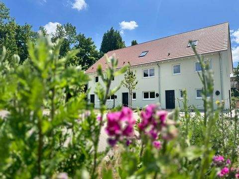 Wernigerode Häuser, Wernigerode Haus kaufen