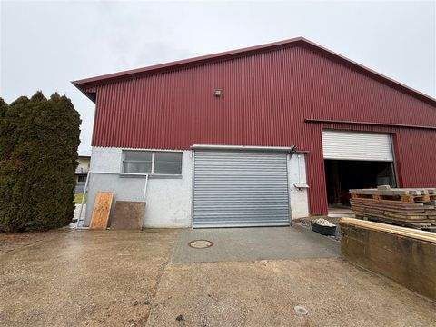 Leingarten Halle, Leingarten Hallenfläche