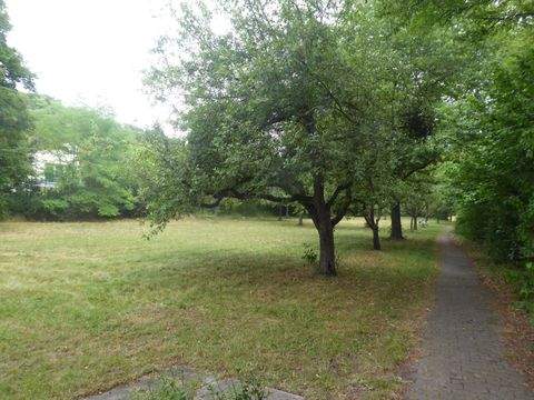 Scheinfeld Grundstücke, Scheinfeld Grundstück kaufen