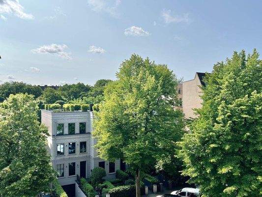 Blick über die Dächer und Baumgipfel