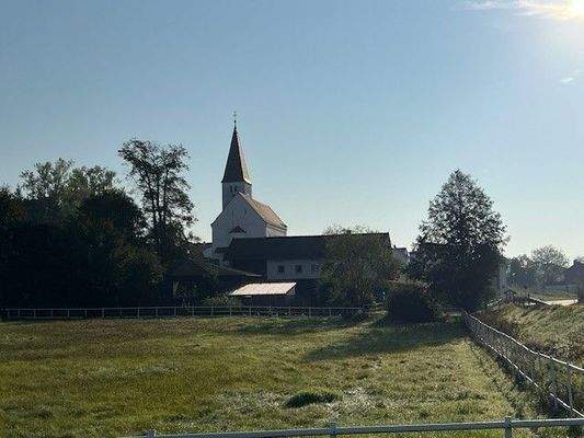 09 Westansicht mit Weide.jpg