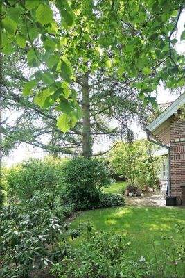 Garten mit Busch- und Baumbestand