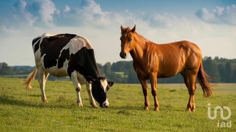 Genthin Bauernhöfe, Landwirtschaft, Genthin Forstwirtschaft