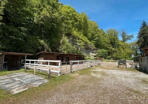 Laufen Häuser, Laufen Haus kaufen