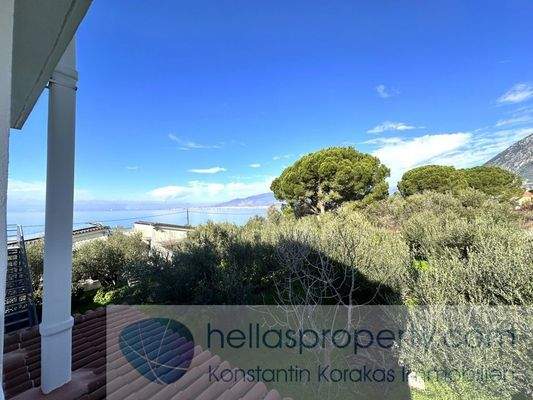 img_38b37206-bd5f-47cb-ace4-2b77df7328da