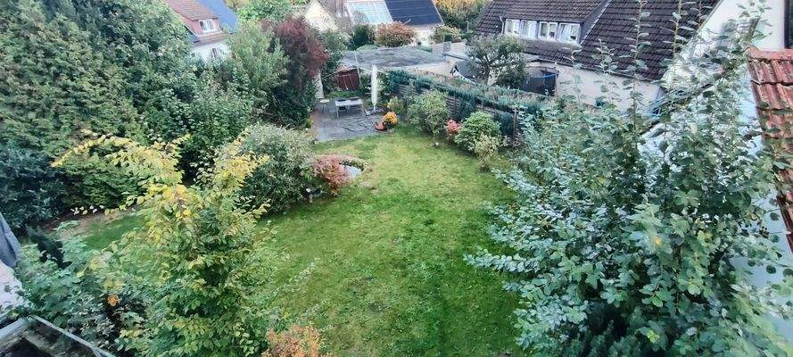 Blick in den Garten aus Wohnz