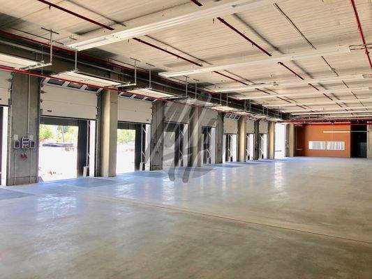 INFOS UNTER: 06171-586000