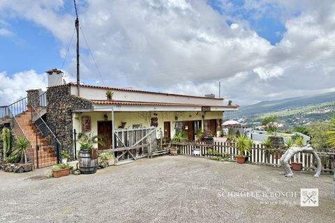 Icod del los Vinos Häuser, Icod del los Vinos Haus kaufen