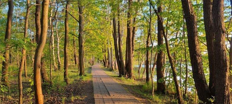 Radschnellweg nach Bestensee