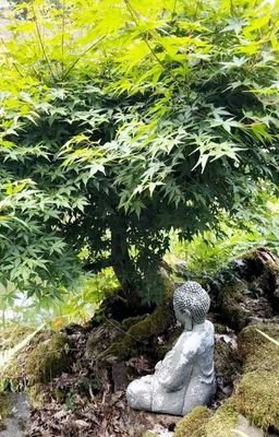 Garten5.jpg