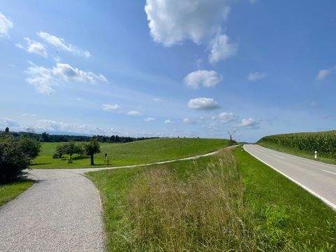 Halfing Bauernhöfe, Landwirtschaft, Halfing Forstwirtschaft