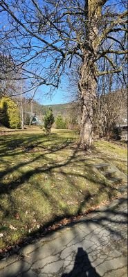Gartenfläche