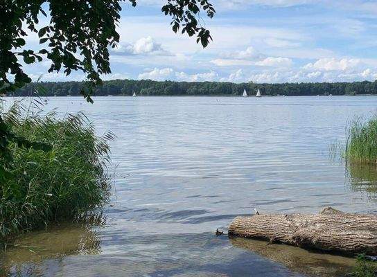 Badestelle 5 min entfernt